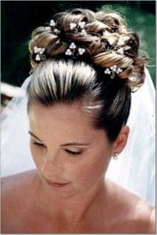 Wedding Updo Veil