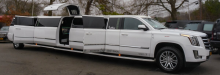 M & V Limousines